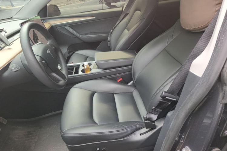 Tesla Model Y 2021 car image #15