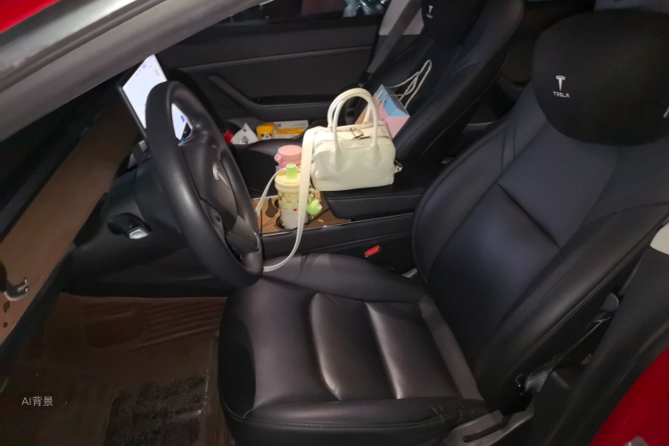 Tesla Model 3 2020 car image #17