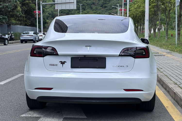 Tesla Model 3 2020 car image #6