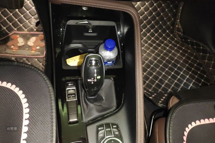 BMW X1 2020 car image #16