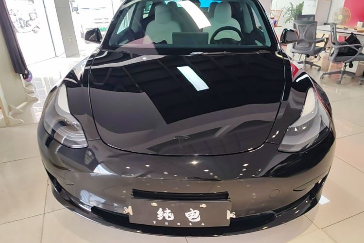 Tesla Model 3 2023 #3 Tesla Model 3 2023 car image #3