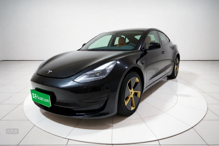 Tesla Model 3 2021 #2 Tesla Model 3 2021 car image #2