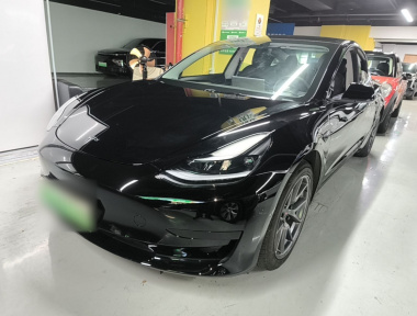 Tesla Model 3 2021 Tesla Model 3 2021 car image