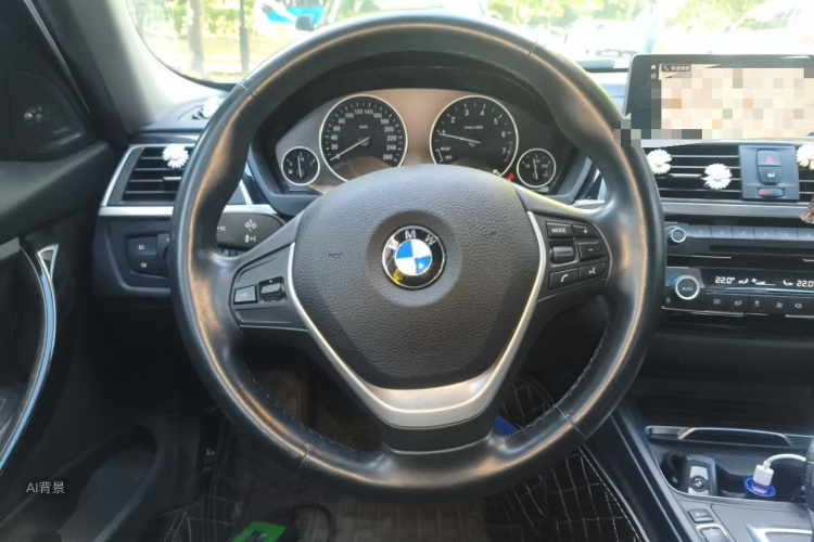 BMW 3 Series 2019 car image #12