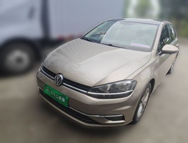 Volkswagen Golf 2019 Volkswagen Golf 2019 car image