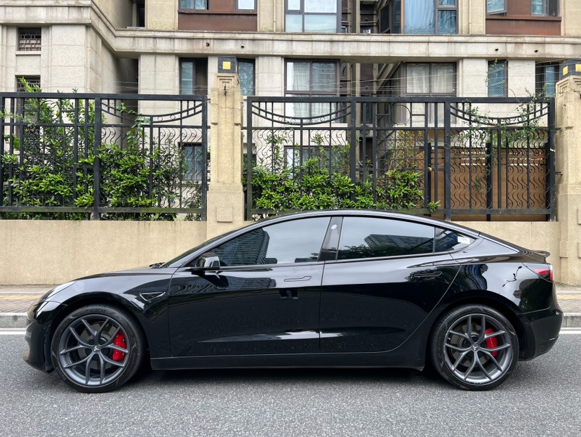 Tesla Model 3 2021 #7 Tesla Model 3 2021 car image #7