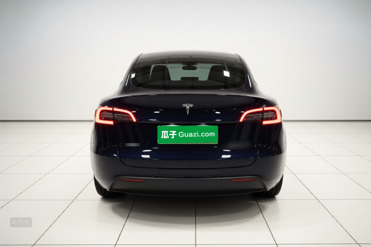 Tesla Model Y 2023 car image #6