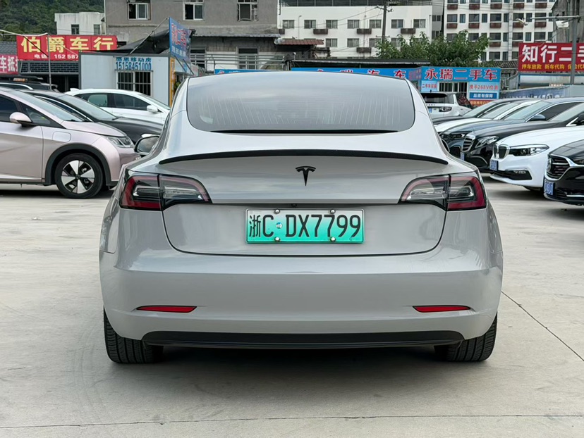 Tesla Model 3 2020 car image #8