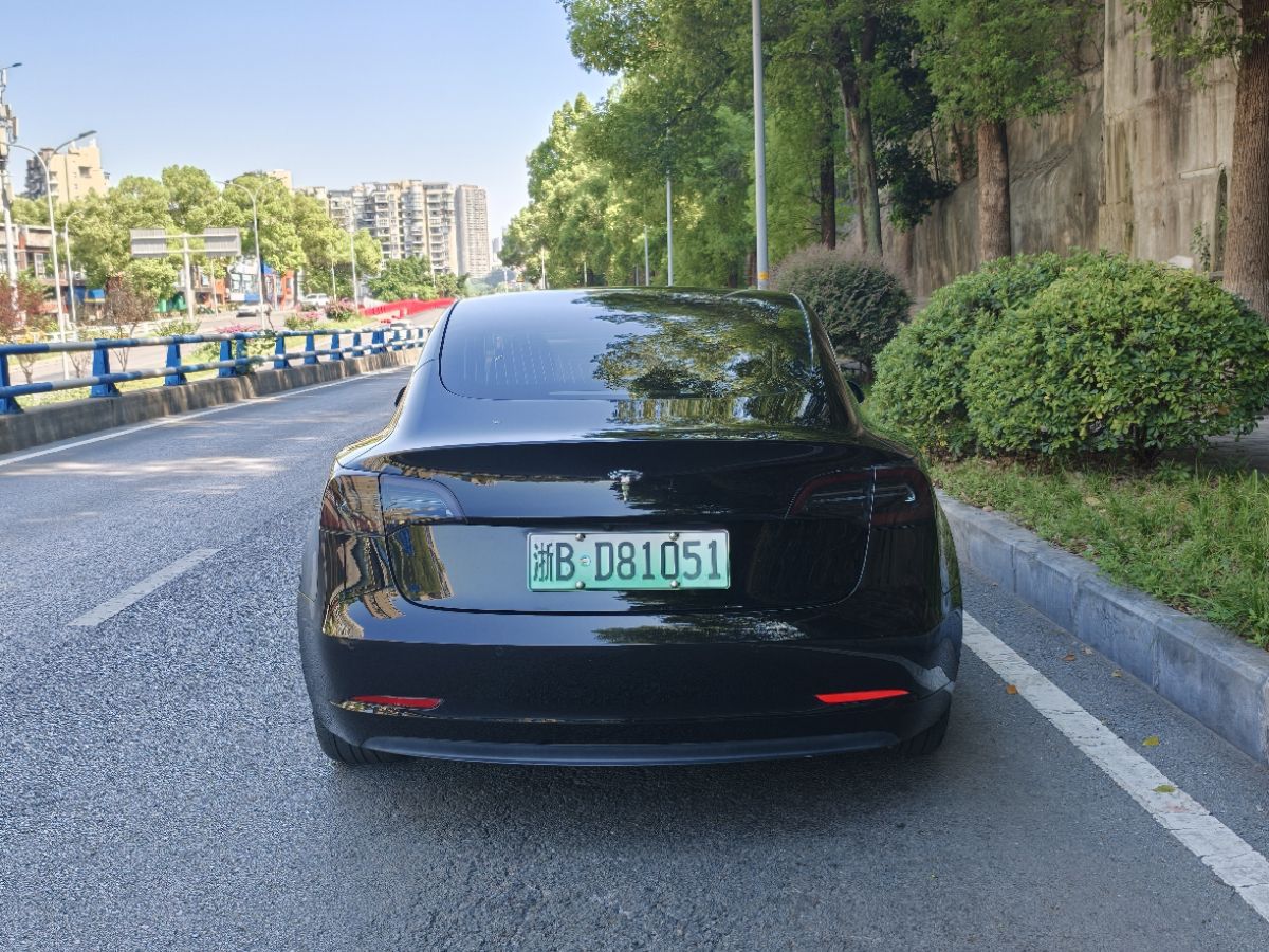 Tesla Model 3 2020 car image #8