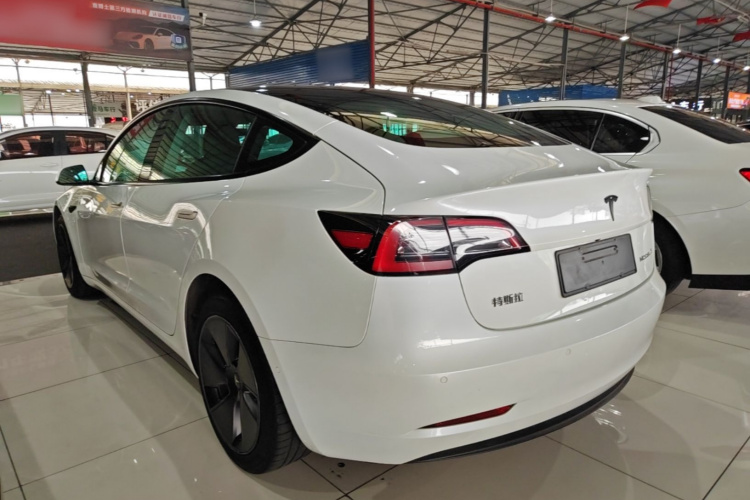 Tesla Model 3 2022 #5 Tesla Model 3 2022 immagine di auto #5