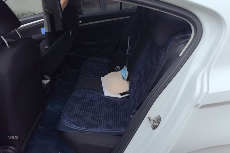 Volkswagen Bora 2020 car image #19