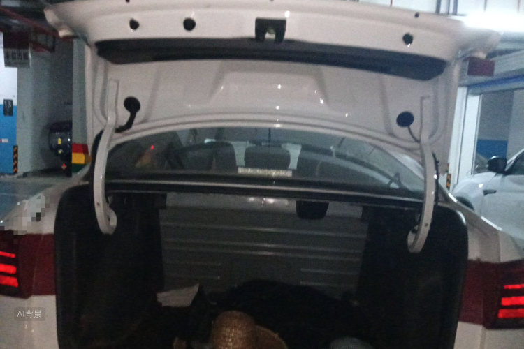 Volkswagen Santana 2019 car image #21