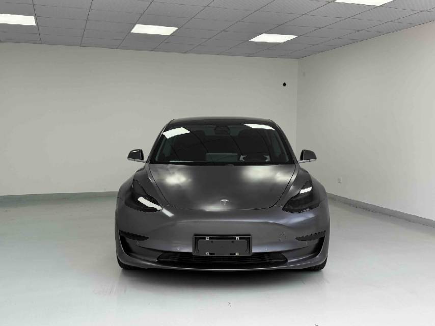 Tesla Model 3 2020 immagine di auto #2