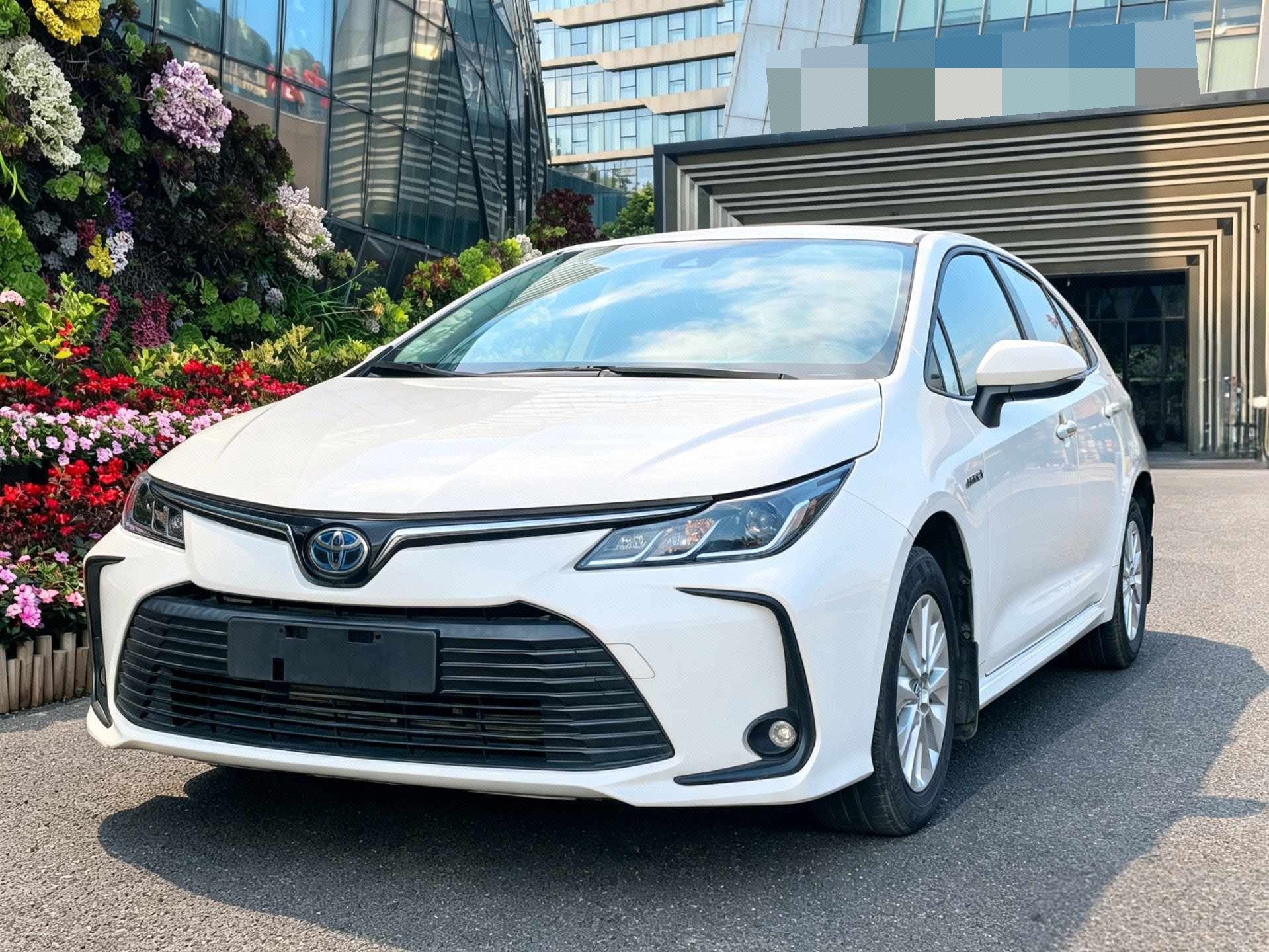 Toyota Corolla 2021 Toyota Corolla 2021 car image