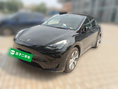 Tesla Model Y 2023 Tesla Model Y 2023 car image