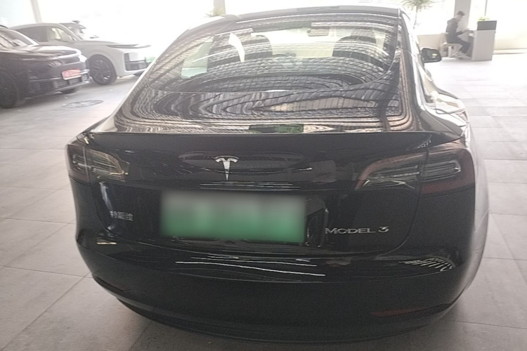 Tesla Model 3 2020 immagine di auto #6