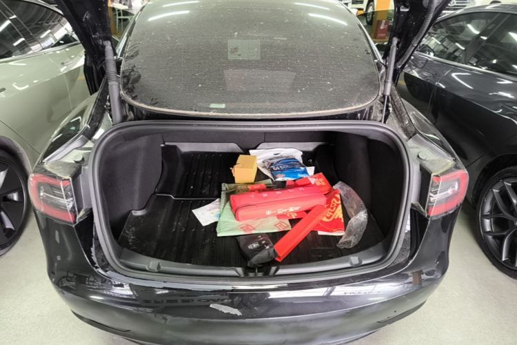 Tesla Model 3 2023 #19 Tesla Model 3 2023 car image #19