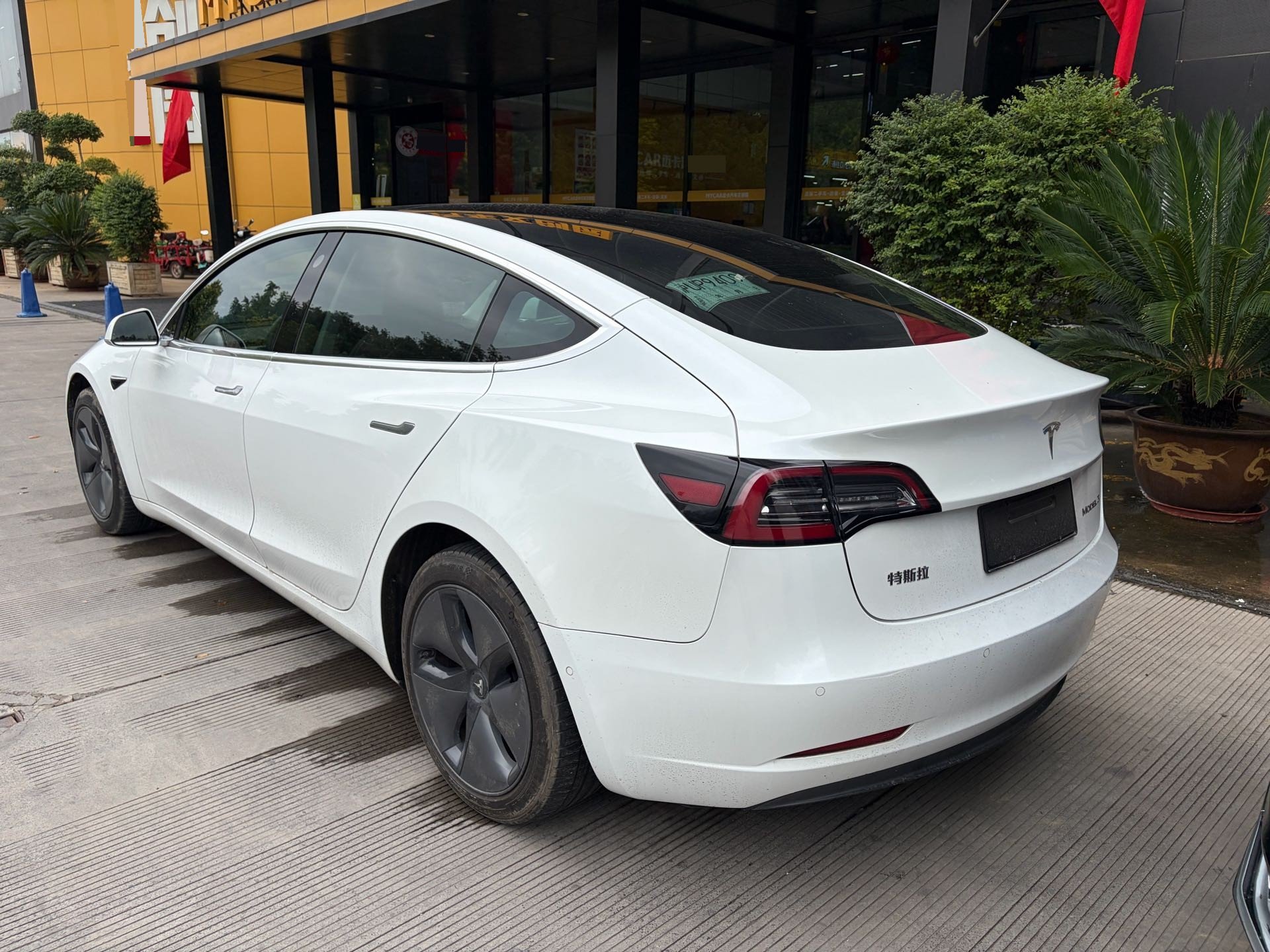 Tesla Model 3 2020 #3 Tesla Model 3 2020 car image #3