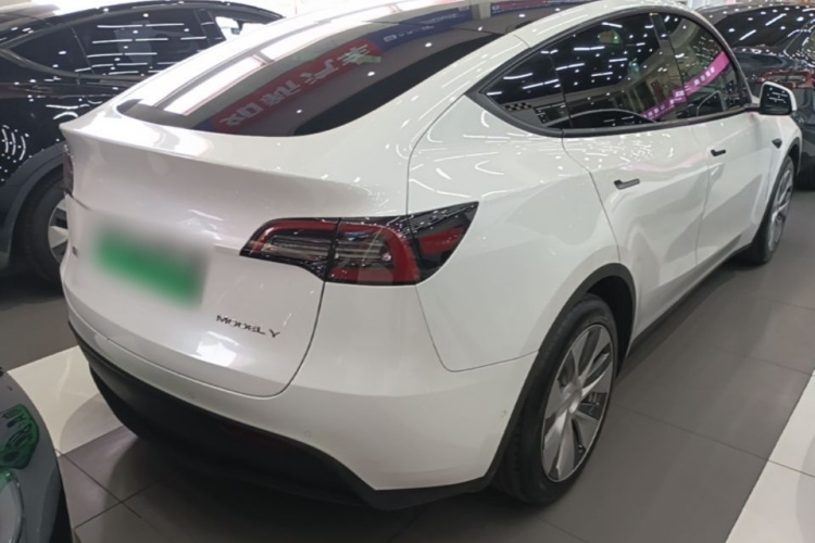 Tesla Model Y 2021 car image #7