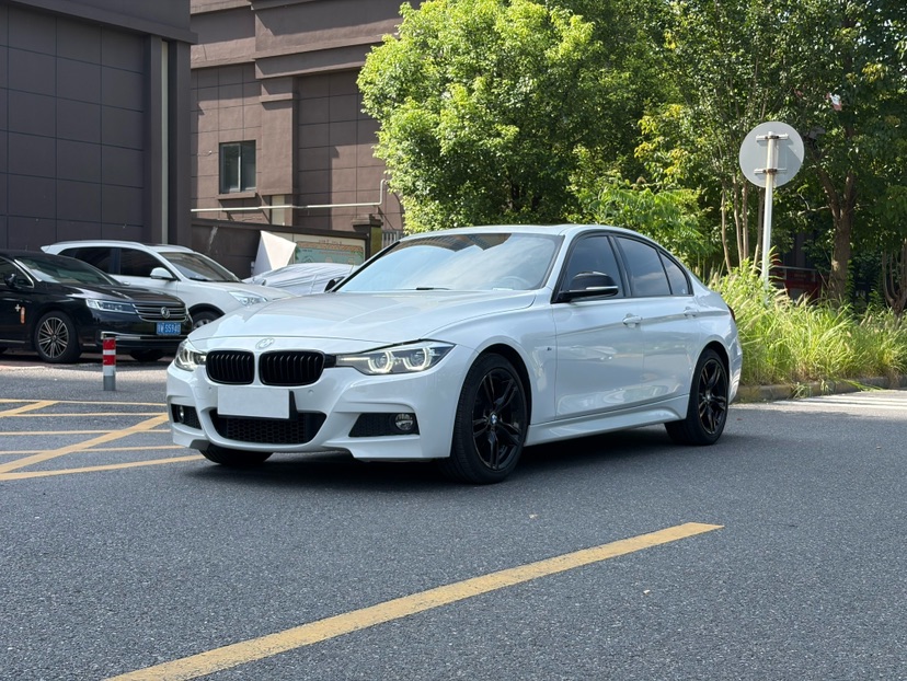BMW 3 Series 2019 car image 