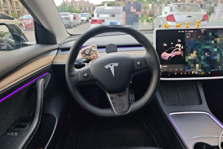 Tesla Model 3 2021 #12 Tesla Model 3 2021 car image #12