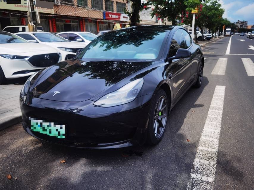 Tesla Model 3 2023 Tesla Model 3 2023 car image