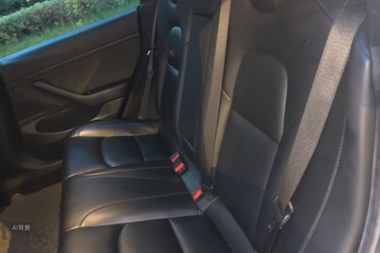 Tesla Model 3 2020 #19 Tesla Model 3 2020 car image #19