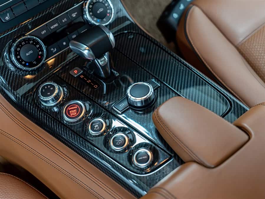 Mercedes-Benz SLS AMG 2010 #18 Mercedes-Benz SLS AMG 2010 car image #18