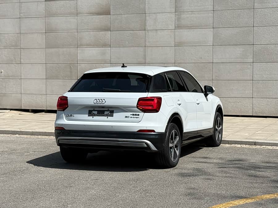 Audi Q2L e-tron 2020 #18 Audi Q2L e-tron 2020 car image #18