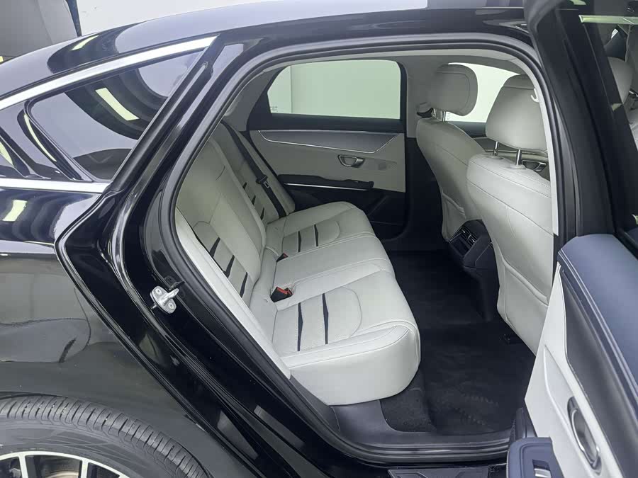 BYD e9 2021 car image #18