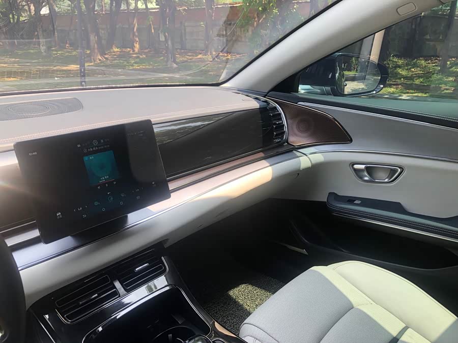 BYD e9 2021 #18 BYD e9 2021 car image #18