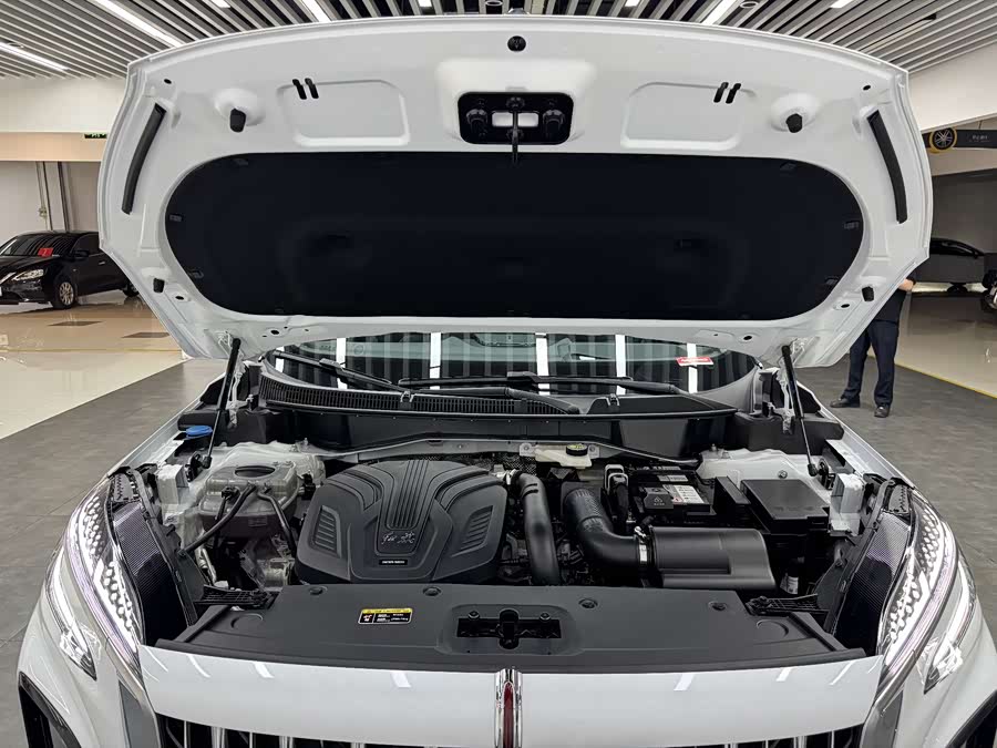 HongQi HS3 2023 imagen de coche #18