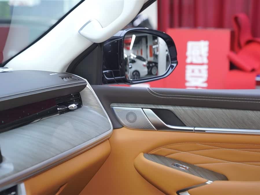 Tank 500 New Energy 2023 car image #18