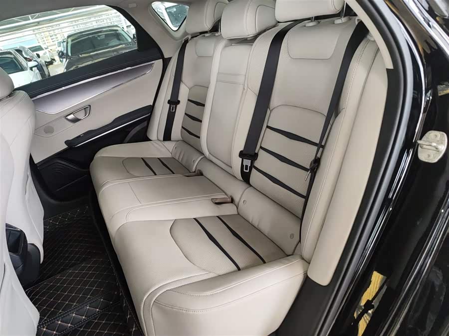 BYD e9 2021 car image #18