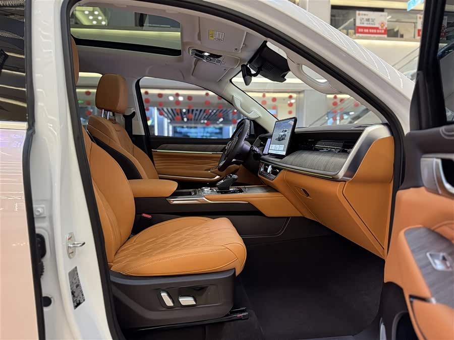 Tank 500 New Energy 2024 immagine di auto #18