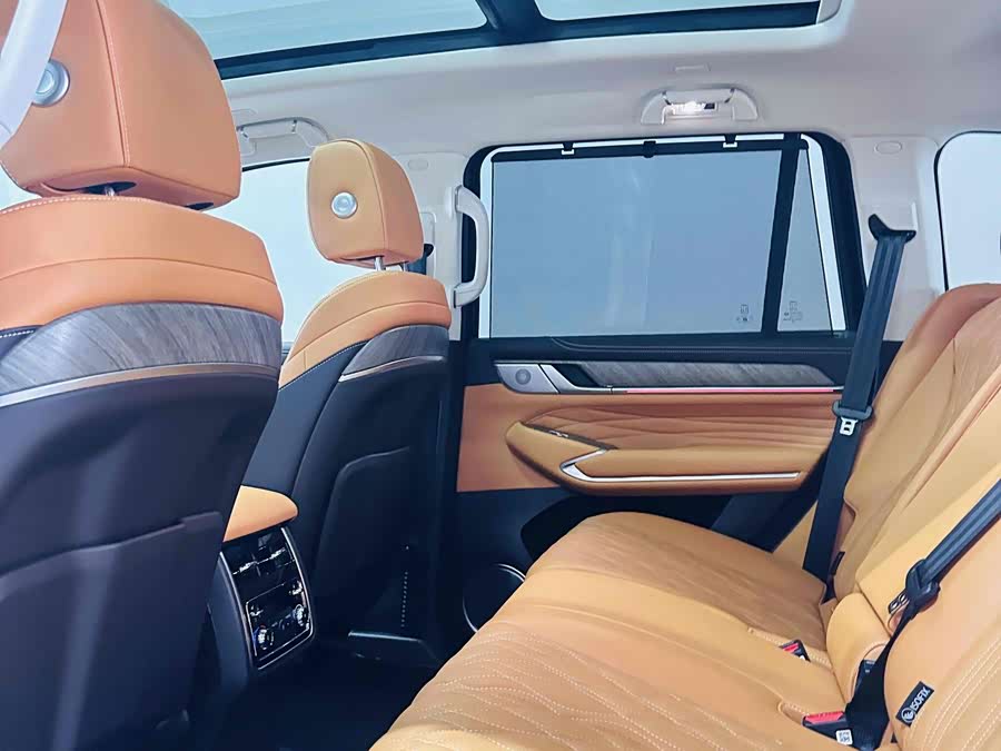 Tank 500 New Energy 2024 car image #18