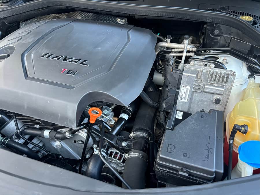 Haval H8 2017 car image #18