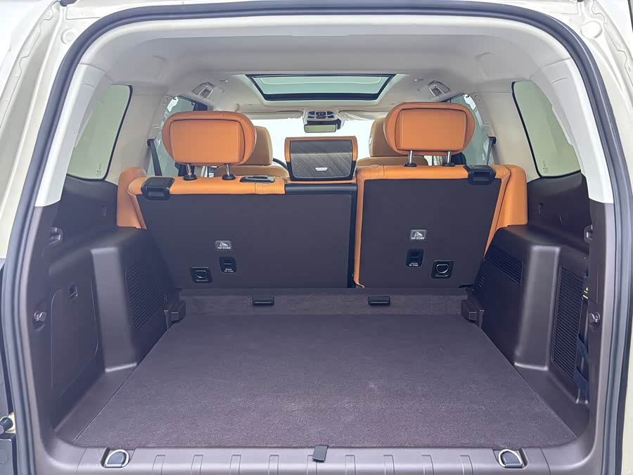 Tank 500 New Energy 2024 immagine di auto #18