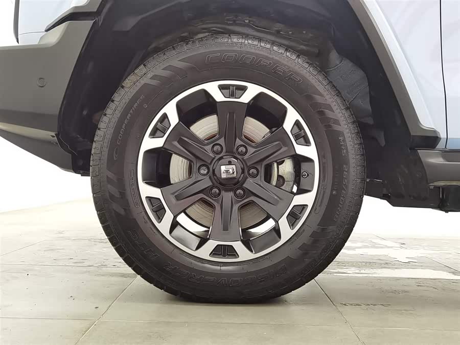 Tank 300 New Energy 2024 car image #18