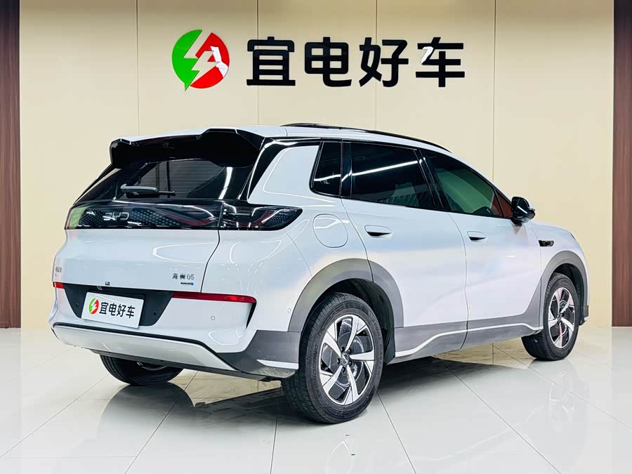 BYD Sea Lion 05 EV 2025 car image #18