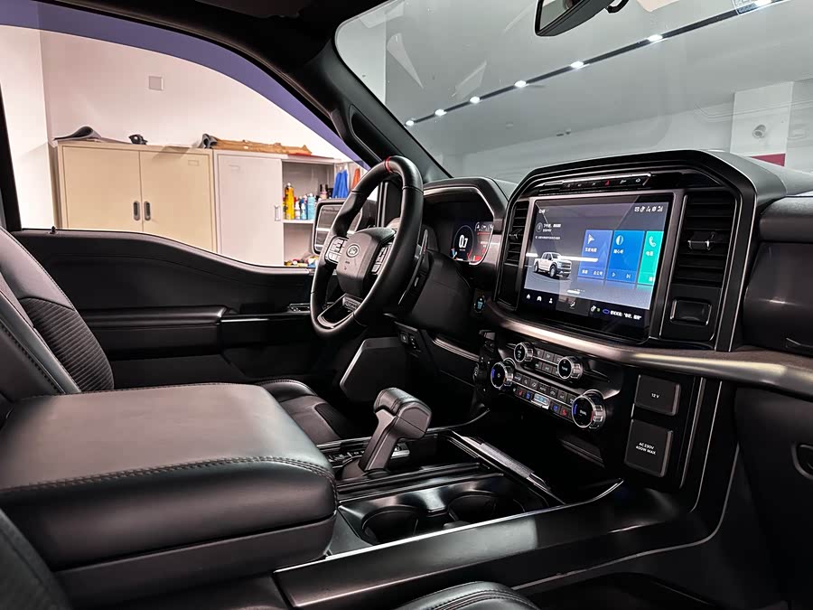 Ford F-150 Raptor 2024 car image #18