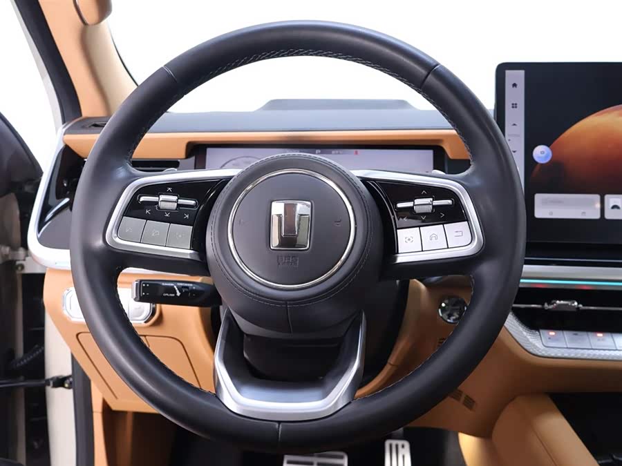 Tank 500 New Energy 2023 car image #18