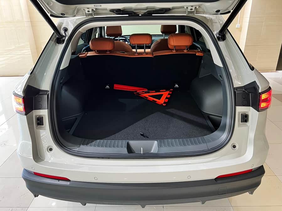 Haval Fierce Dragon MAX 2025 #18 Haval Fierce Dragon MAX 2025 car image #18