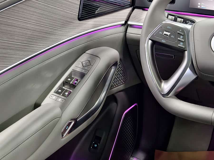 Denza N9 2025 car image #18