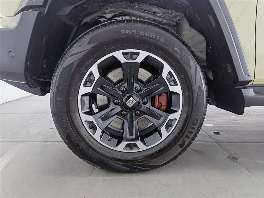 Tank 300 New Energy 2025 #18 Tank 300 New Energy 2025 car image #18