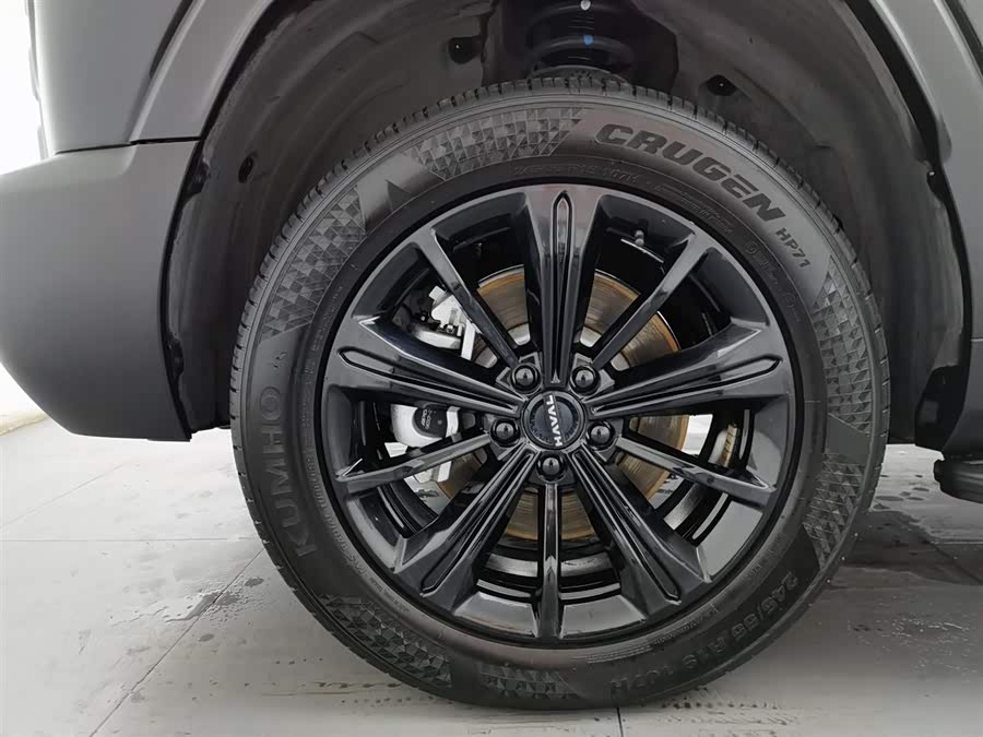 Haval Raptor New Energy 2024 #18 Haval Raptor New Energy 2024 car image #18