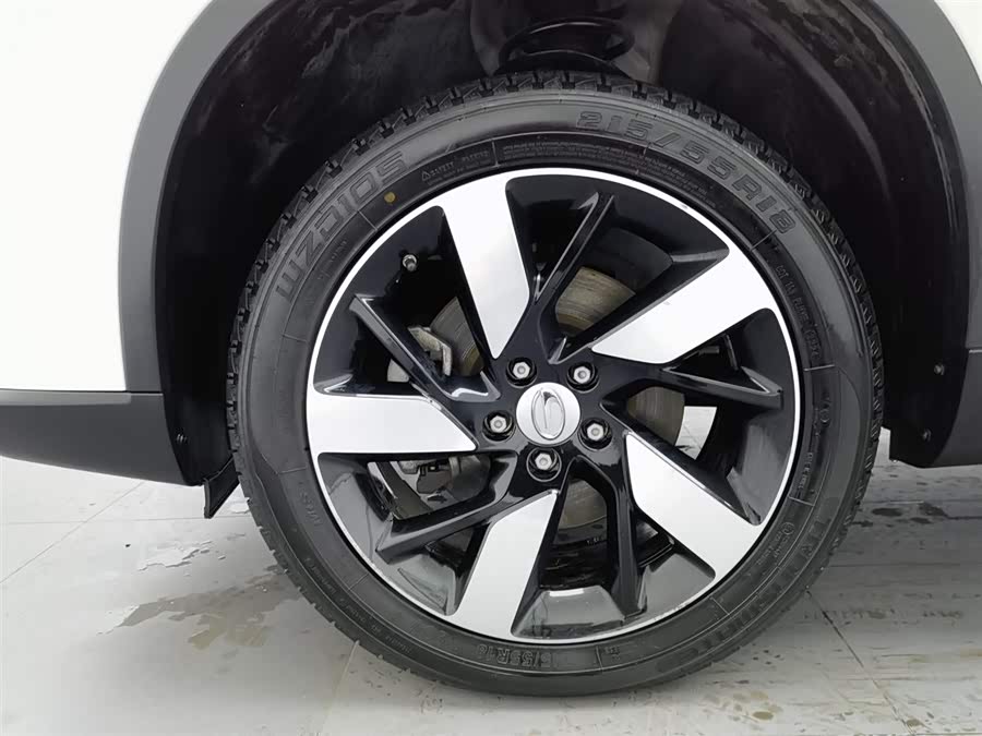 GAC ix4 2019 immagine di auto #18