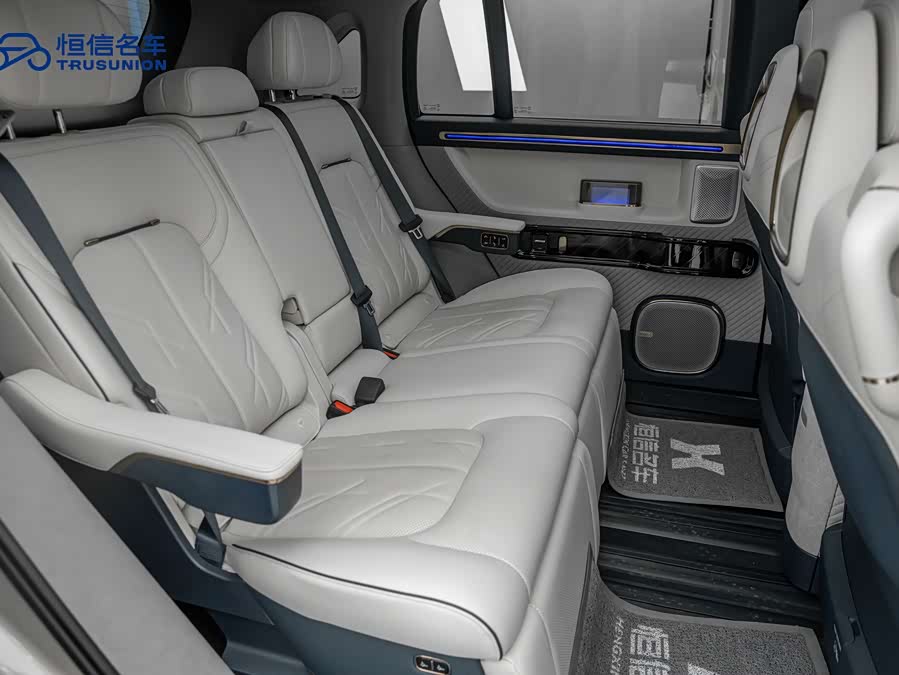 极氪 极氪MIX 2024 汽车图片 #18