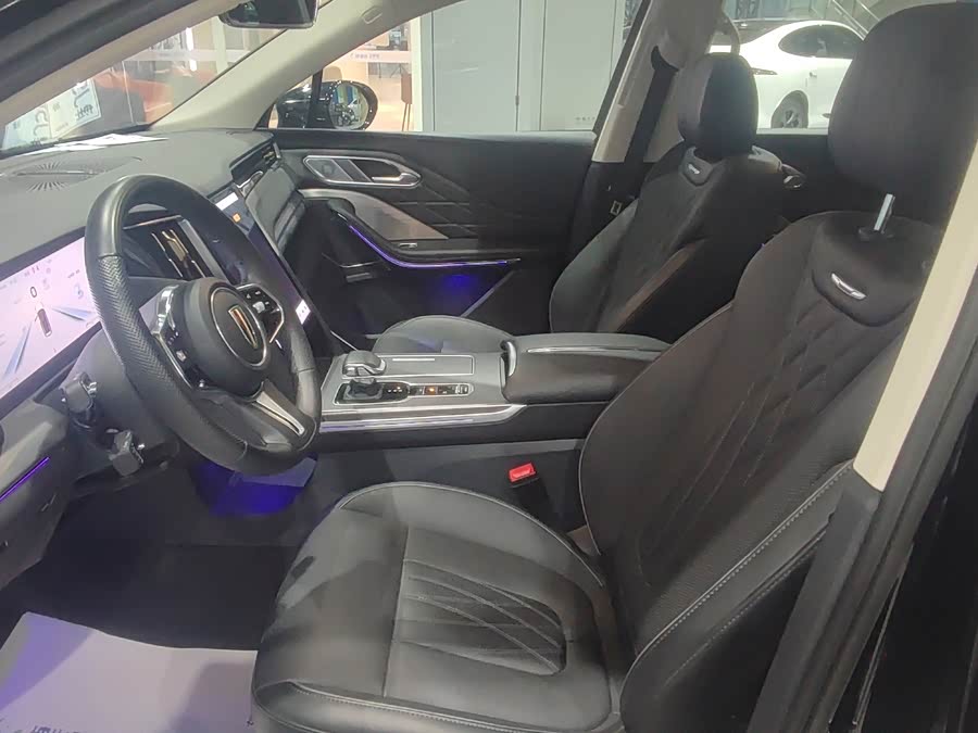 HongQi HS7 PHEV 2024 car image #18