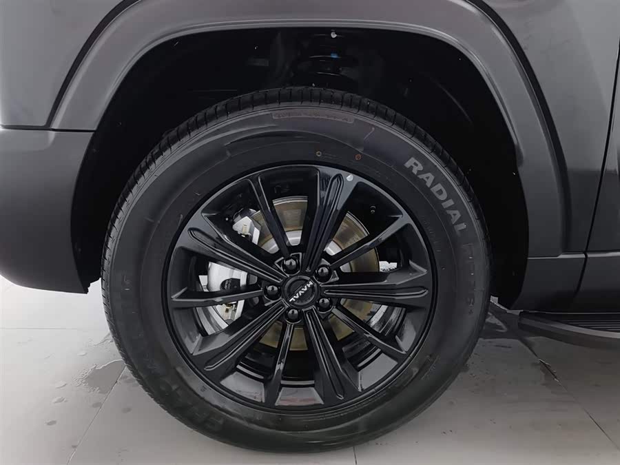 Haval Raptor New Energy 2025 car image #18